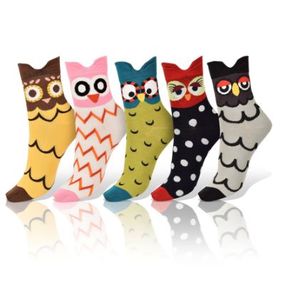 Picture of Owls Socks, Set of 5