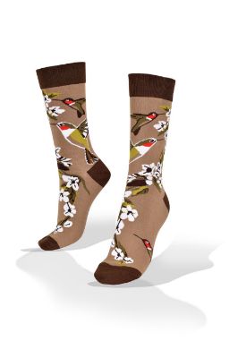 Picture of Hummingbird on Brown Socks