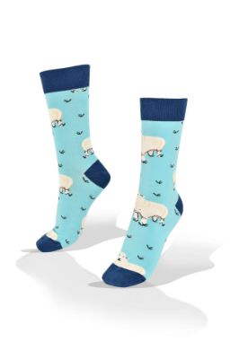 Picture of White Sheep on Blue Socks