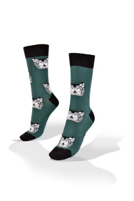 Picture of Huskies on Green Socks