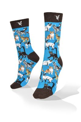 Picture of Cats on Blue Exclusive Aves del Plata™ Design Socks 