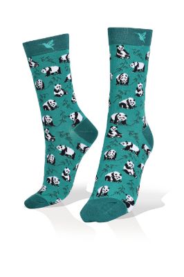 Picture of Mini Pandas on Green Exclusive Socks
