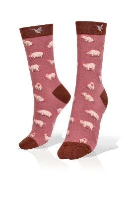 Picture of Mini Pigs on Mauve Exclusive Socks