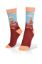 Picture of Roman Coliseum Exclusive Socks