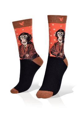 Picture of Chimp. Executive Business Socks