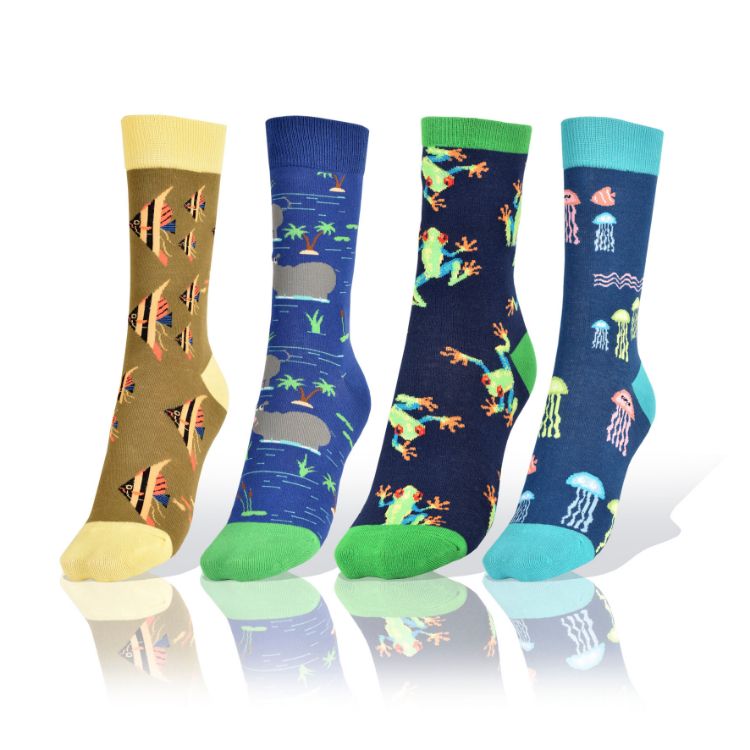 Picture of Set of 4 Fish, Frogs and Turtles Socks