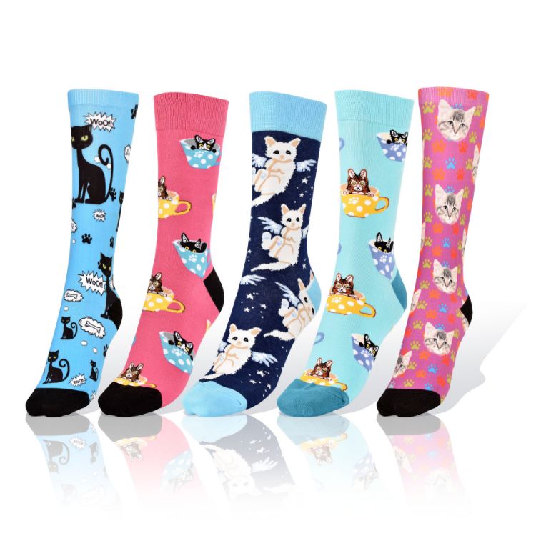 Picture of Set of 5 Cats Socks