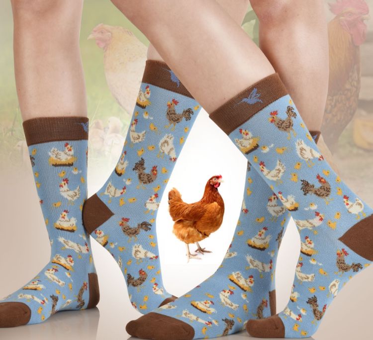 Picture of Hen exclusive Design Socks