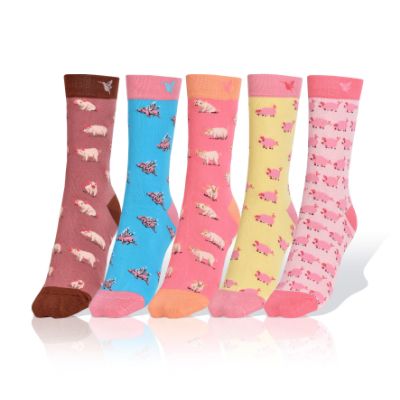 Picture of Setof 5 Pigs exclusive design socks